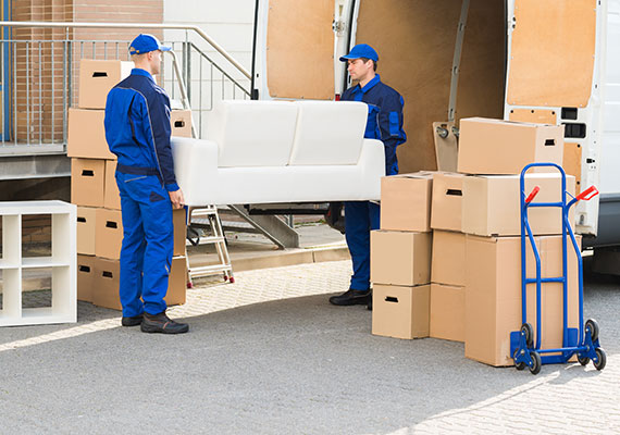 Domestic Removals in Edmonton